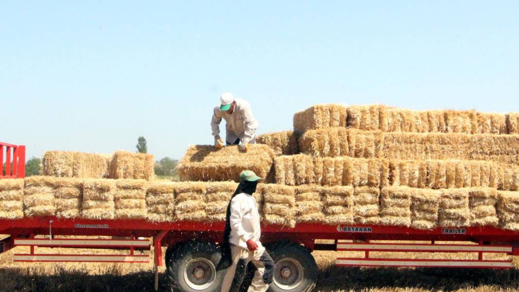 Kavurucu sıcakta 'balya' mesaisi 5